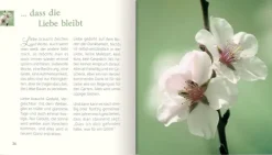 Butzon & Bercker ... dass die Liebe bleibt Online