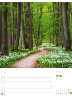 Abenteuer Deutschland Wochenplaner Kalender 2026 | Naturparadiese-Ackermann Kunstverlag Sale