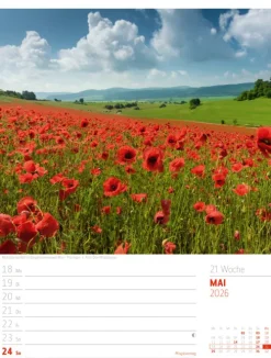 Abenteuer Deutschland Wochenplaner Kalender 2026 | Naturparadiese-Ackermann Kunstverlag Sale