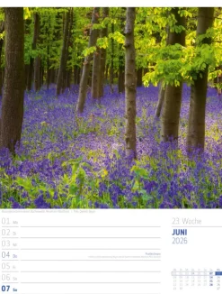 Abenteuer Deutschland Wochenplaner Kalender 2026 | Naturparadiese-Ackermann Kunstverlag Sale