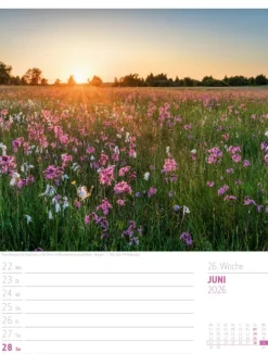 Abenteuer Deutschland Wochenplaner Kalender 2026 | Naturparadiese-Ackermann Kunstverlag Sale
