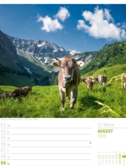 Abenteuer Deutschland Wochenplaner Kalender 2026 | Naturparadiese-Ackermann Kunstverlag Sale