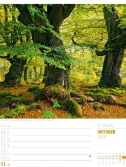 Abenteuer Deutschland Wochenplaner Kalender 2026 | Naturparadiese-Ackermann Kunstverlag Sale