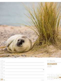 Abenteuer Deutschland Wochenplaner Kalender 2026 | Naturparadiese-Ackermann Kunstverlag Sale