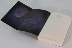 Loewe Verlag GmbH Academy of Lies (Band 1) - Anatomie einer Verschwörung New