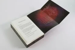 Academy of Lies (Band 2) - Autopsie einer Intrige-Loewe Verlag GmbH New