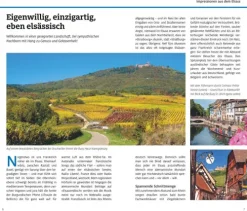 ADAC Reiseführer Elsass Best