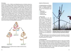 Haupt Verlag AG Agroforstpraxis in der Schweiz Discount