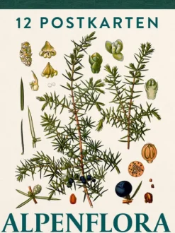 Pustet Anton Alpenflora New