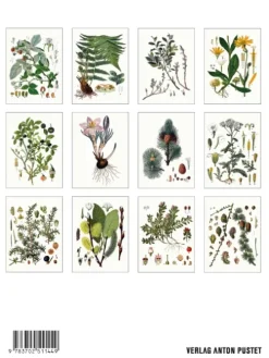Pustet Anton Alpenflora New