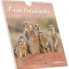 Alpha Edition - Freche Erdmännchen 2026 - Postkartenkalender 16×17 cm mit 53 witzigen Motiven, dekorativer Tisch- & Wandkalender auf FSC-Papier, zum Verschicken, Sammeln & Verschenken-teNeues Calendars & Stationery GmbH & Co. KG Discount