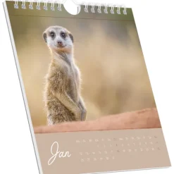 Alpha Edition - Freche Erdmännchen 2026 - Postkartenkalender 16×17 cm mit 53 witzigen Motiven, dekorativer Tisch- & Wandkalender auf FSC-Papier, zum Verschicken, Sammeln & Verschenken-teNeues Calendars & Stationery GmbH & Co. KG Discount