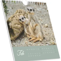 Alpha Edition - Freche Erdmännchen 2026 - Postkartenkalender 16×17 cm mit 53 witzigen Motiven, dekorativer Tisch- & Wandkalender auf FSC-Papier, zum Verschicken, Sammeln & Verschenken-teNeues Calendars & Stationery GmbH & Co. KG Discount