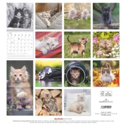 Alpha Edition - Samtpfötchen Kalender 2026 - Wandkalender & Bildkalender 30x30 cm (30x60 cm geöffnet) mit süßen Katzenmotiven, inkl. Poster, für Katzenliebhaber & Tierfreunde-teNeues Calendars & Stationery GmbH & Co. KG Online
