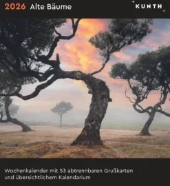 Kunth Kalender Alte Bäume - KUNTH Postkartenkalender 2026 Online