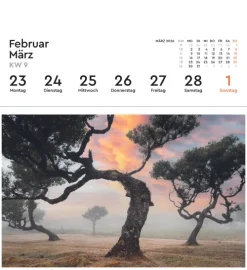 Kunth Kalender Alte Bäume - KUNTH Postkartenkalender 2026 Online