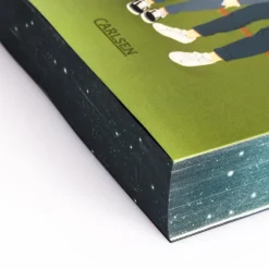 Beyond the Play 3: Stealing Home-Carlsen Verlag GmbH