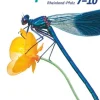 Cornelsen Verlag GmbH Biosphäre Sekundarstufe I 7.-10. Schuljahr. Schülerbuch Gymnasium Rheinland-Pfalz Outlet
