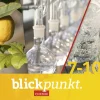 Blickpunkt Chemie. Gesamtband. Für Baden-Württemberg-Westermann Schulbuch Online