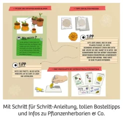 Blüten-Presse-Franckh-Kosmos Clearance