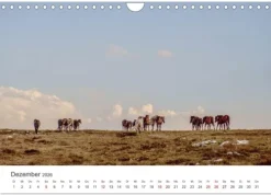 Bosnien - Wunderschöne Natur in einem bezaubernden Land. (Wandkalender 2026 DIN A4 quer), Monatskalender-Calvendo