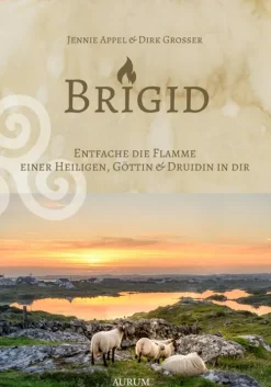 Brigid-Kamphausen Media Clearance