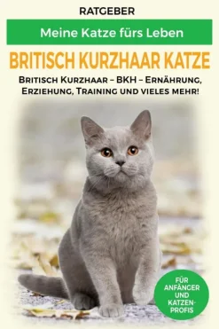 epubli Britisch Kurzhaar Katze Best