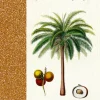 Coppenrath - Sammlung Augustina - Notizhefte DIN A6, sort.-Coppenrath Verlag Discount