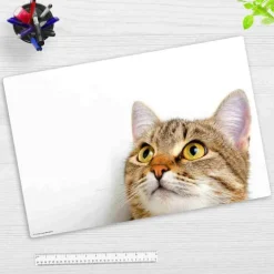 Schreibtischunterlage für Kinder und Erwachsene Katzenblick, aus hochwertigem Vinyl , 60 x 40 cm-Cover-your-desk Discount