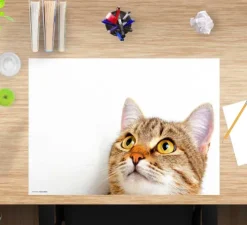 Schreibtischunterlage für Kinder und Erwachsene Katzenblick, aus hochwertigem Vinyl , 60 x 40 cm-Cover-your-desk Discount