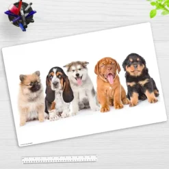Cover-your-desk Schreibtischunterlage für Kinder 5 süße Hundewelpen, aus hochwertigem Vinyl , 60 x 40 cm Hot