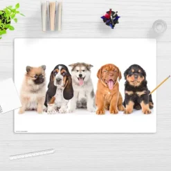 Cover-your-desk Schreibtischunterlage für Kinder 5 süße Hundewelpen, aus hochwertigem Vinyl , 60 x 40 cm Hot