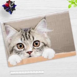 Schreibtischunterlage für Kinder und Erwachsene Maine Coon Kätzchen, aus hochwertigem Vinyl , 60 x 40 cm-Cover-your-desk New