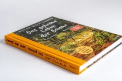 Ludwig Verlag Das geheime Leben der Bäume Clearance