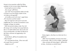 Das geheime Leben der Tiere (Meer) - Das Lied der Orcas-Loewe Verlag GmbH New