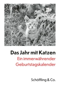 Schoeffling + Co. Das Jahr mit Katzen Outlet