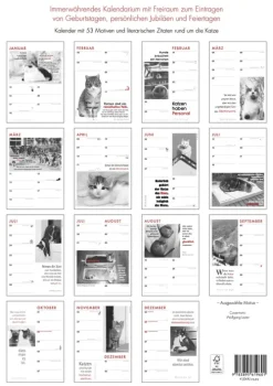 Schoeffling + Co. Das Jahr mit Katzen Outlet