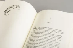 Heyne Taschenbuch Das Mädchen und der Winterkönig Sale