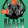 Blanvalet Taschenbuchverl Das Reich der Asche - Realm Breaker 1 New