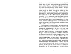 Delphine über den Dächern-Insel Verlag GmbH Sale