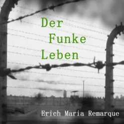 Der Funke Leben, Audio-CD, MP3-Medienverlag Kohfeldt