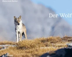 Der Wolf-Haupt Verlag AG Outlet