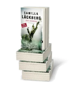 Ullstein Taschenbuchvlg. Die Eishexe Sale