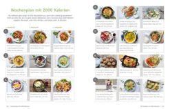 Die Ernährungs-Docs - Gesund und schlank durch Intervallfasten-ZS Verlag Discount