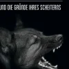 BoD - Books on Demand Die Erziehung verhaltensauffälliger Hunde New