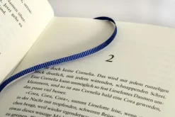 Penguin Verlag Die Riesinnen Sale