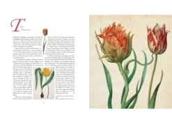 Bassermann, Edition Die Sprache der Blumen. Pflanzen und ihre symbolische Bedeutung Clearance