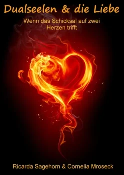 Dualseelen & die Liebe-BoD - Books on Demand New