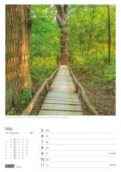DUMONT - In Deutschland unterwegs 2026 - Wochenkalender 21 x 30 cm, Wandkalender mit 53 Reisezielen, für Natur- und Kulturliebhaber-DuMont Kalenderverlag Online
