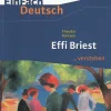 Schoeningh Verlag Effi Briest. EinFach Deutsch ...verstehen Online